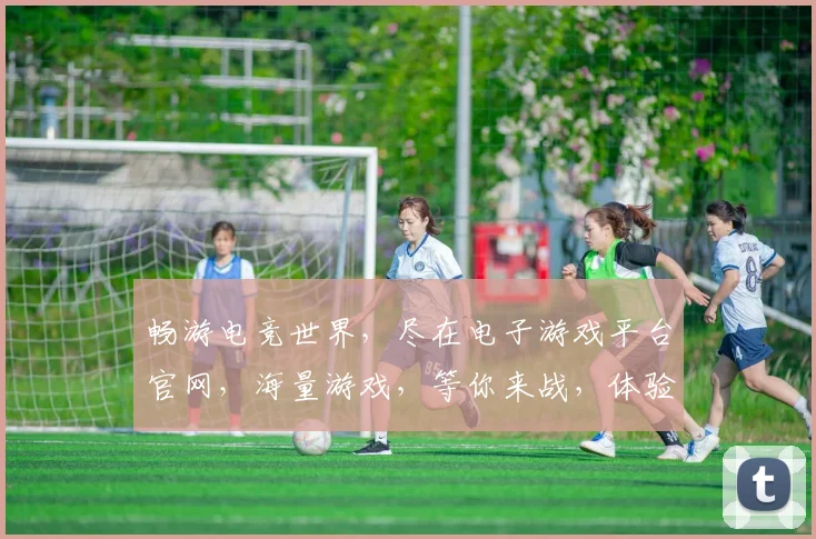 畅游电竞世界，尽在电子游戏平台官网，海量游戏，等你来战，体验非凡