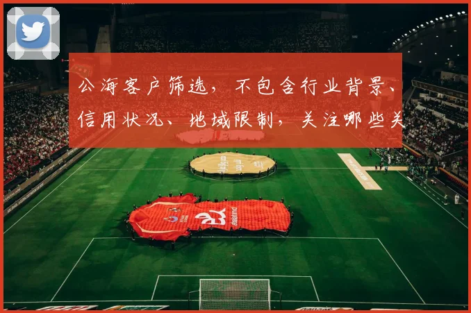 公海客户筛选，不包含行业背景、信用状况、地域限制，关注哪些关键要素