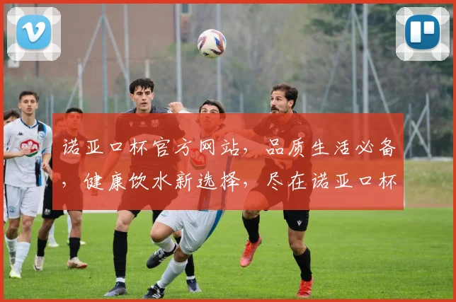 诺亚口杯官方网站，品质生活必备，健康饮水新选择，尽在诺亚口杯官网逗逗逗